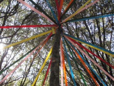 May Day Tree Pole