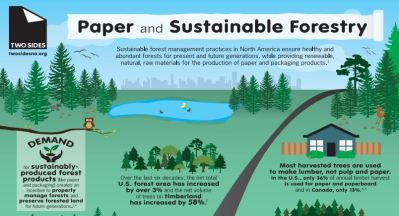 Paper Infographic